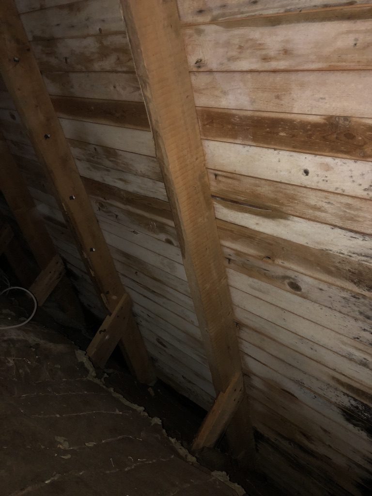 Svartmögel i bjälklag på vind