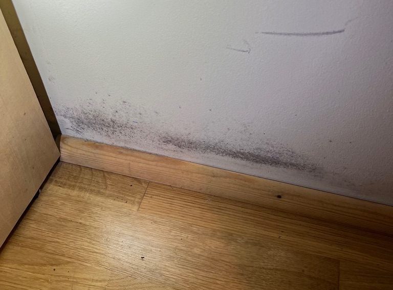 Mögelskada vägg (1) Mögelskada vägg (1)