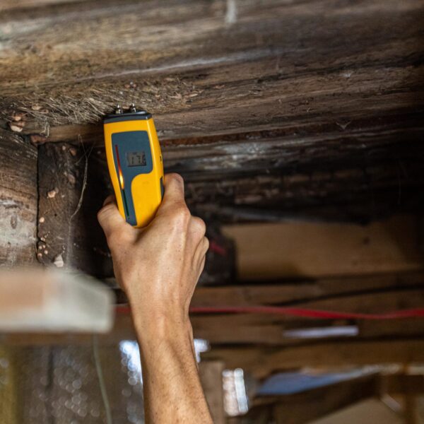 fuktmätning Fuktmätning för att ta reda på luftfuktighet i trä