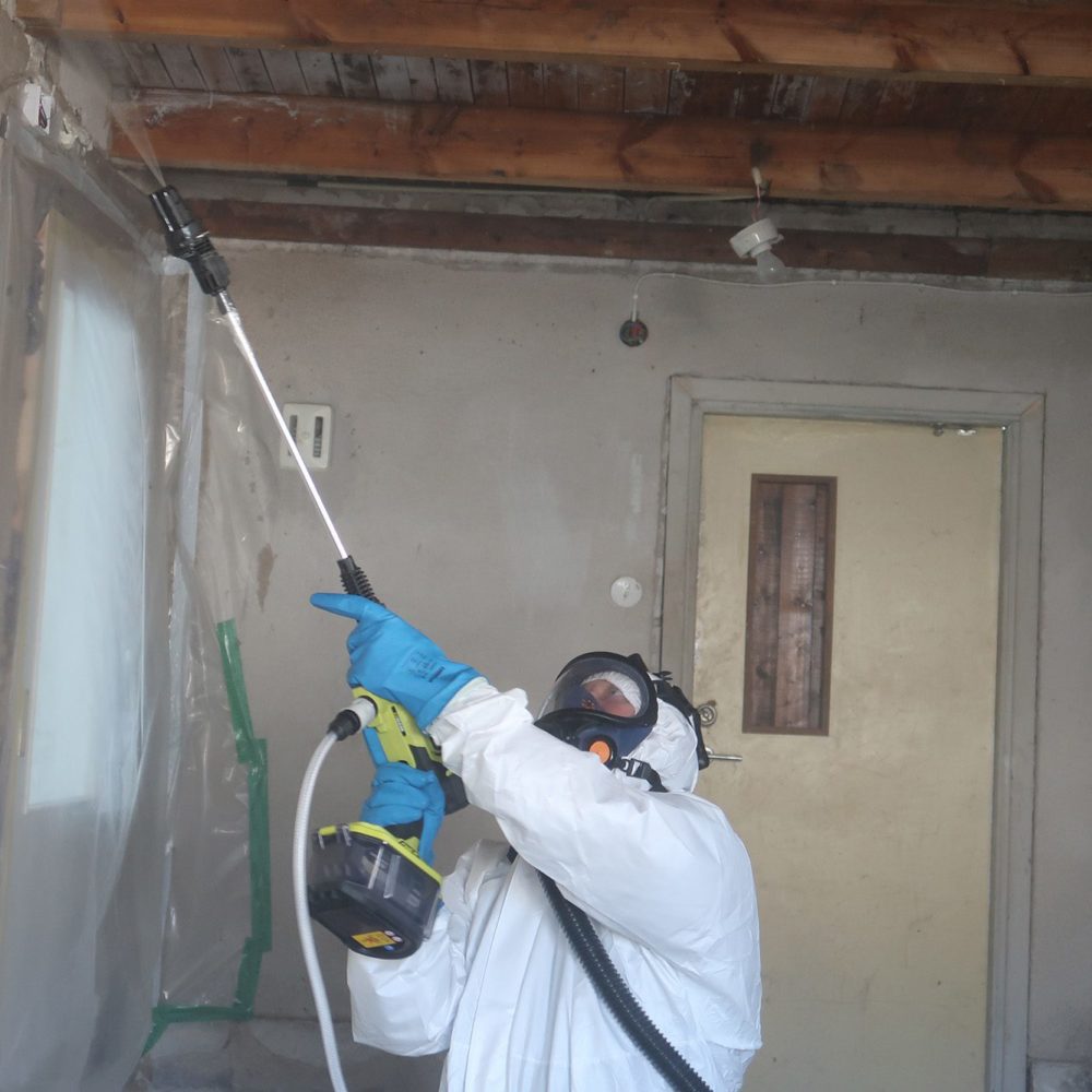 mögelsanering mögelsanering